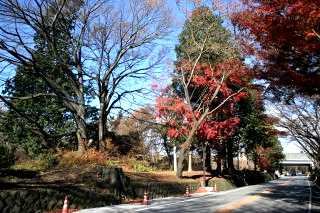 高谷林の一里塚（２９里目） 下金井町 宇都宮市