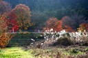 秋色 石那田町 宇都宮市