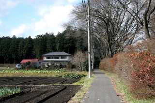 日光街道桜並木遊歩道風景 石那田町 宇都宮市