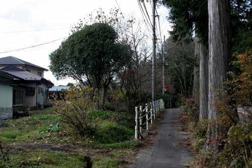 上小池の一里塚 上小池町 宇都宮市