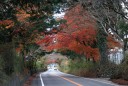 日光街道並木道 山口 日光市
