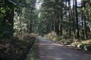 日光杉並木街道 普通地域 下森友 日光市