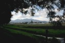 日光連山遠景 七本桜 日光市