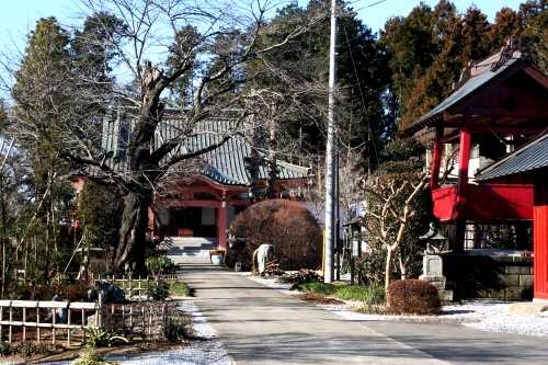 台林寺 飯塚 小山市 栃木県