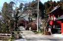 台林寺 飯塚 小山市 栃木県