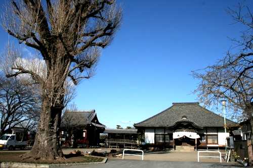 壬生寺 壬生町 下都賀郡 栃木県