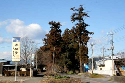杉並木 北赤塚町 鹿沼市 栃木県