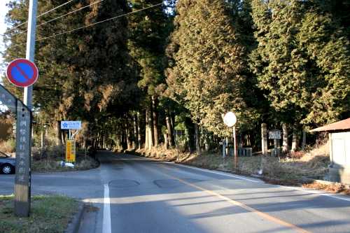 例幣使杉並木街道・並木寄進碑 小倉 日光市 栃木県