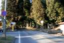 例幣使杉並木街道・並木寄進碑 小倉 日光市 栃木県