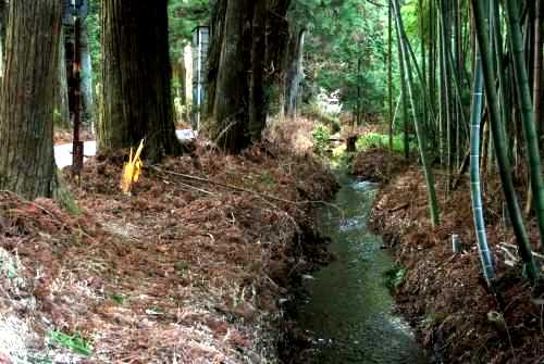 例幣使杉並木街道 室瀬 日光市 栃木県