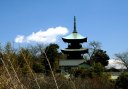 西福寺 三重塔 西立野 川口市