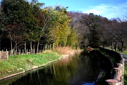 見沼代用水東縁 総寺院付近 南部領辻 さいたま市