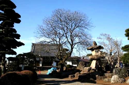 国昌寺 大崎 さいたま市