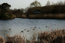 見沼自然公園 上野田 さいたま市