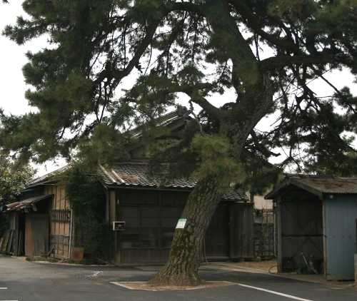 本町 岩槻 埼玉