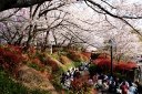 飛鳥山公園 王子1丁目 北区 東京都