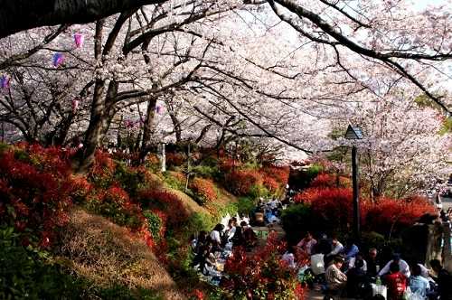 飛鳥山公園 王子1丁目 北区 東京都