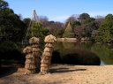 六義園 本駒込６丁目 文京区