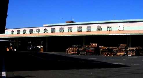 中央卸売市場 豊島市場