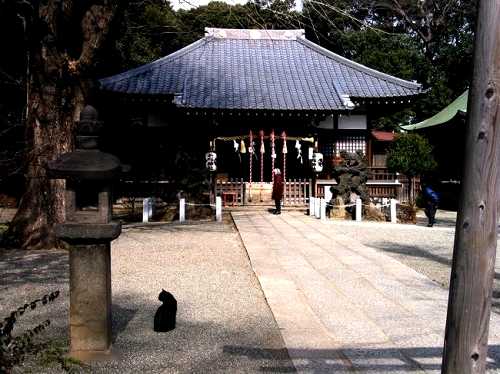 平塚神社 本駒込6丁目 文京区