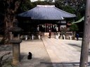 平塚神社 本駒込６丁目 文京区
