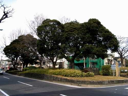 西ヶ原一里塚 西ヶ原 北区