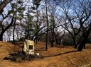 飛鳥山公園 王子１ 北区 東京都