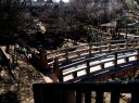 音無川親水公園 石神井川