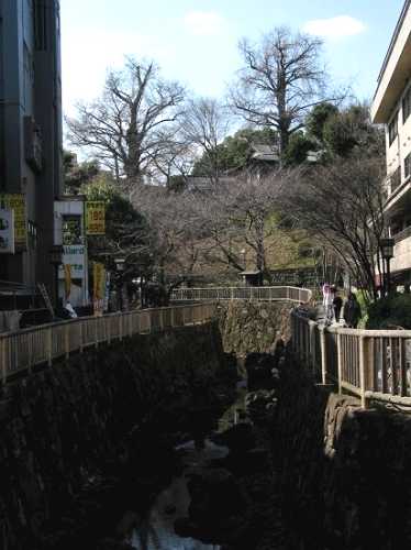 音無川親水公園 王子神社 扇屋