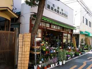 王子大坂