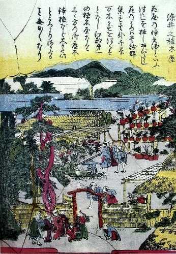 染井之植木屋 染井吉野桜記念公園 駒込駅北口前 豊島区