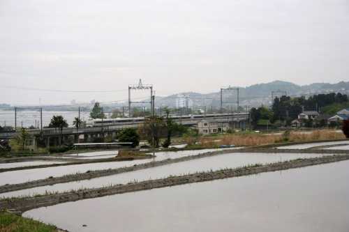 棚田・JR湖西線 八屋戸 大津市