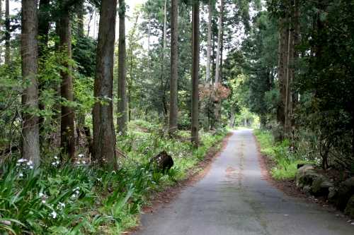 旧北国海道(西近江路) 木戸 大津市