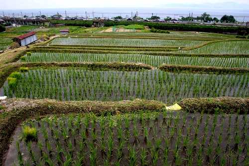 鵜川の棚田 鵜川 高島市 滋賀県
