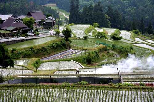 畑の棚田 畑 高島市 滋賀県