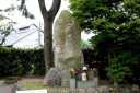 四高（現金沢大学）桜 勝野 高島市 滋賀県