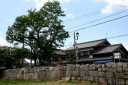 海津浜の石積み マキノ町海津 高島市 滋賀県