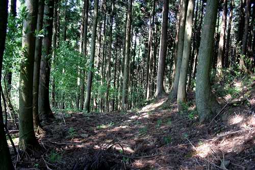旧追坂峠 マキノ町海津 高島市 滋賀県