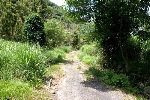 旧道 山中 敦賀市 福井県