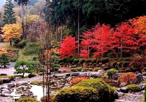 明通寺 小浜 福井