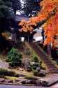 明通寺山門 小浜 福井