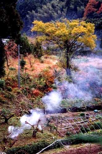 明通寺 小浜 福井