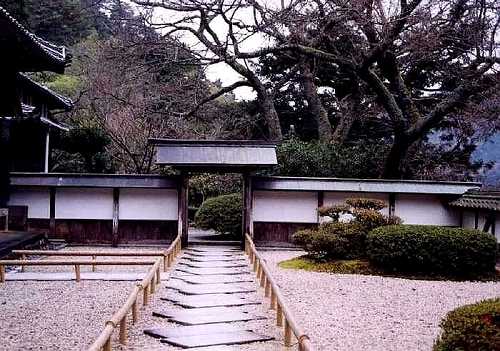 カヤ巨木 明通寺 小浜 福井