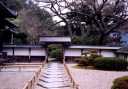 カヤ巨木 明通寺 小浜 福井