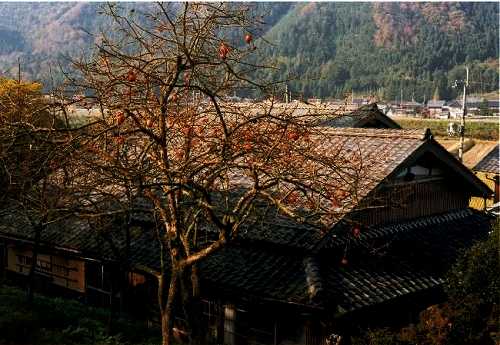 小浜 福井
