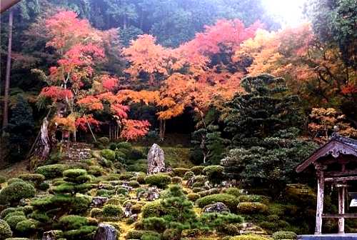 神宮寺 小浜 福井