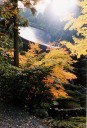 神宮寺 小浜 福井