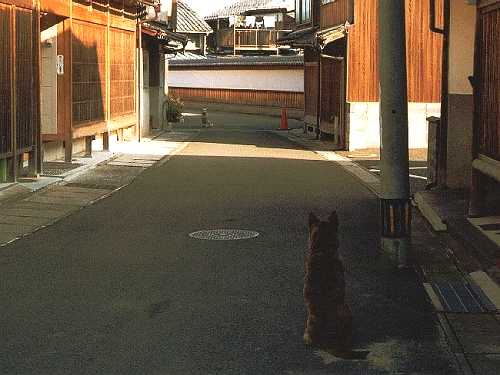 三丁町 小浜 福井