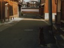 三丁町 小浜 福井