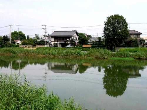 大落古利根（おおおちふるとね） 春日部